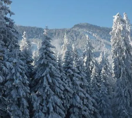 Gardens 3* Borovets